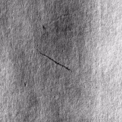 Flat scar on wet blue