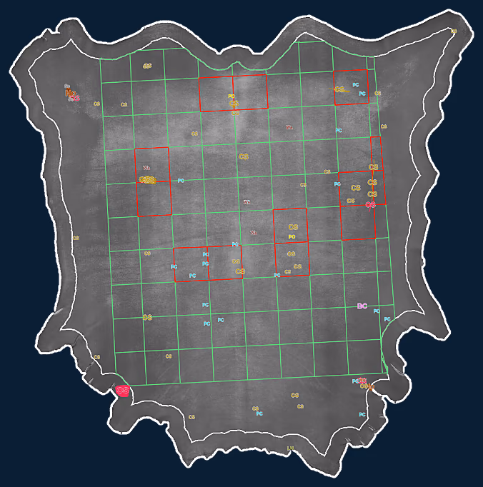 Grid grading of the same hide: cells holding a defect are marked as lost