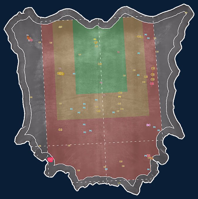 Zone grading of a scanned hide: shoulder, croupon, bellies and sides, each with its own grade